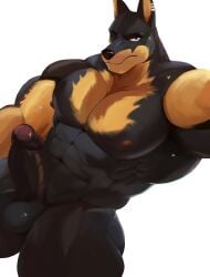 abs anthro balls black_body black_fur canid canine canis casual_erection casual_nudity dobermann domestic_dog erection foreskin fur genitals hi_res humanoid_genitalia humanoid_penis looking_at_viewer male mammal manly muscular muscular_anthro muscular_male navel nipples nude pecs penis pinscher simple_background solo solo_focus tonygonza15 white_background