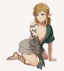 clothed foxvulpine link male male_focus male_only no_visible_genitalia skinny tears_of_the_kingdom the_legend_of_zelda twink