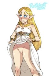 princess zelda from breath of the wild by radlionheart