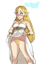 princess zelda from breath of the wild by radlionheart