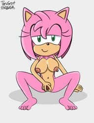 1female amy_rose breasts half-closed_eyes nipples nude nude_female sega sitting smile sonic_(series) sonic_the_hedgehog_(series) spreading_pussy thegreatgreninja vagina