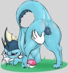 animal_genitalia animal_pussy anus ass ass_up begging bloodymascarade blue_pussy blush bodily_fluids butt_grab canid canine canine_genitalia canine_pussy disembodied_hand eeveelution female feral flagging generation_1_pokemon genital_fluids genitals hand_on_butt hi_res in_heat looking_at_viewer looking_back love_ball mammal nintendo pokeball pokemon pokemon_(species) presenting presenting_hindquarters presenting_pussy pussy pussy_juice raised_tail solo spread_legs spreading tail vaporeon