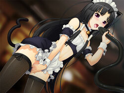 cat_ears cat_tail catmaid cg eroge maid maid_apron maid_headdress maid_outfit maid_uniform nitroplus sumaga tagme