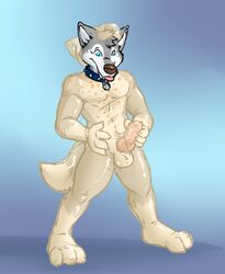 Aggrobadger Rule 34 Image