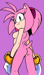 1girls amy_rose breasts furry looking_back nude nude_female pussy randomguy999 sega sonic_(series)