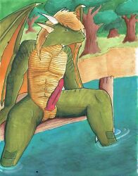 anthro cole dock dragon forest genitals hi_res lake lakeside looking_at_viewer male male_only muscular nude nyghtmar3 penis plant reptile scalie sitting solo traditional_media_(artwork) tree water western_dragon wings