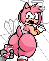 amy rose from sega by lewdewott