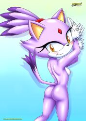 blaze the cat from sega by bbmbbf