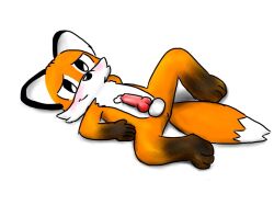 animal_genitalia animal_penis anthro anus blush bodily_fluids canid canine canine_genitalia canine_penis fox genital_fluids genitals knot male mammal penis precum red_fox simple_background solo toru_(torutheredfox) torutheredfox white_background