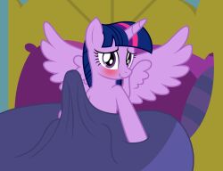 alicorn badumsquish bed bedding blanket equid equine erection erection_under_blanket friendship_is_magic fur furniture futa_only futanari hair hasbro hi_res horn looking_at_viewer mammal my_little_pony on_bed pink_body pink_fur purple_eyes purple_hair smile twilight_sparkle_(mlp) wing_boner wings