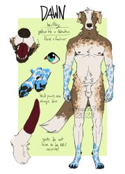 2023 absurd_res animal_genitalia animal_penis anthro bird_dog canid canine canine_genitalia canine_mouth canine_paws canine_penis canis cocoach3rry dalmatian dawn_(cocoach3rry) domestic_dog explicit floppy_ears fluffy genitals head_tuft hi_res hunting_dog invalid_tag labrador looking_at_viewer male mammal model_sheet nude paws penis pubes retriever sheath sheathed_penis solo standing teeth tuft