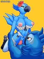 1boy 1boy1girl 1girls absurd_res accessory anthro anthro_on_anthro anthro_only anthro_penetrated anthro_penetrating anthro_penetrating_anthro anthrofied areola avian avian_feet beak big_breasts bird blu_(rio) blue_body blue_eyes blue_sky_studios bra breasts brown_eyes canon_couple clothing cowgirl_position darkadibuja duo exposed_breasts feathers female flower flower_in_hair from_front_position garter_belt garter_straps genitals green_eyes hair hair_accessory hi_res hybrid jewel_(rio) lingerie male male/female male_penetrating male_penetrating_female navel nipple_slip nipples non-mammal_breasts non-mammal_navel non-mammal_nipples nude on_bottom on_top penetration pink_nipples plant pussy rio_(series) sex simple_background straight tail_feathers underwear vaginal_penetration