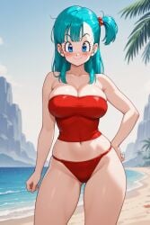 bulma briefs from dragon ball by rena aikawa (pixiv user)