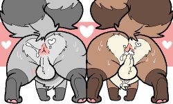 anus ass backsack balls ballsack bodily_fluids brown_body brown_fur butt_focus canid canine cum cum_in_ass cum_inside femboy feral fur gay gay_anal gay_male gay_sex genital_fluids genitals grey_body grey_fur gulonine homosexual homosexual_male homosexual_sex hybrid kalen_(xenoyia) low_res male male/male male_only male_penetrated male_penetrating male_penetrating_male mammal maple_(pawprint.ing) marten mascot mustelid musteline pawprint.ing_(artwork) pine_marten procyonid raccoon raccoon_dog short_stack tanuki xenoyia