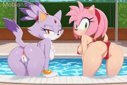 amy rose from sonic (series)