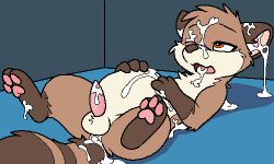 5:3 bodily_fluids brown_body brown_fur countershading cum cum_everywhere cum_in_ass cum_in_ear cum_in_mouth cum_inside cum_on_face feral fur genital_fluids gulonine inflation leaking_cum long_tail low_res lying male mammal maple_(pawprint.ing) markings marten mascot messy mustelid musteline on_back orange_eyes pawpads pawprint.ing_(artwork) paws pine_marten pink_pawpads short_stack striped_markings striped_tail stripes tail tail_markings xenoyia