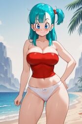 bulma briefs from dragon ball by rena aikawa (pixiv user)