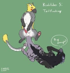 2025 all_fours anal anal_sex anthro anthro_on_feral avian beak blue_eyes dated dinosaur dromaeosaurid duo english_text erection felid feline feral fur genitals green_background grey_beak grey_body grey_fur grey_tail head_feathers head_tuft hi_res hybrid knot lying male male/male male_anthro male_feral mammal nude on_back open_mouth orange_eyes pawpads penetration penis pink_pawpads prehistoric_species profanity red_penis reptile saurischian scalie sex signature simple_background sketchy_shelby tail tail_fetish tail_in_ass tail_insertion tail_play tail_sex tail_tuft text theropod tuft white_body white_fur zoophilia