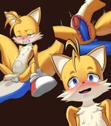 2boys absurd_res anal anthro balls blush bodily_fluids duo foreskin fox furry gay genital_fluids genitals hedgehog hi_res internal interspecies kunsun976 male male/male male_only penis precum sega sex sonic_(series) sonic_the_hedgehog sonic_the_hedgehog_(series) stomach_bulge tails tears x-ray yaoi