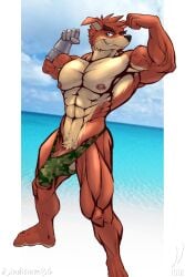 abs activision anthro bandicoot bara beach biceps clothing crash_(series) crunch_bandicoot cybernetic_limb flexing hi_res invalid_tag iudicium86 male male_only mammal marsupial muscular nipples outside pubes seaside solo speedo stretched_clothing swimwear