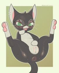 absurd_res anus ass black_body blush clothing domestic_cat eyewear felid feline felis female feral genitals glasses green_eyes handwear hi_res looking_at_viewer mammal mittens open_mouth pawpads paws plump_labia pussy radishflavor solo spread_legs spreading white_body