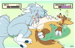 alolan_form alolan_ninetales ass balls blue_body blush brown_body duo female feral generation_3_pokemon genitals graedius_(artist) green_eyes linoone male male/female ninetales nintendo open_mouth penis penis_in_mouth pokemon pokemon_(species) regional_form_(pokemon) smile yellow_body