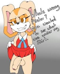 anthro brown_eyes clothed clothing clothing_lift cream_the_rabbit flaccid foxkai fur futanari genitals grin gynomorph intersex lagomorph leporid looking_at_viewer mammal orange_body orange_fur penis rabbit red_clothing sega smile solo sonic_(series) sonic_the_hedgehog_(series) tan_body tan_fur