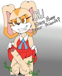 affront_to_nature anthro brown_eyes clothing cock_vore cream_the_rabbit erection foreskin foxkai fur futanari genitals grin gynomorph intersex lagomorph leporid looking_at_viewer mammal orange_body orange_fur penile penis rabbit red_clothing sega smile solo sonic_(series) sonic_the_hedgehog_(series) tan_body tan_fur uncut vore wtf