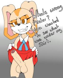 anthro brown_eyes clothed clothing clothing_lift cream_the_rabbit erection foxkai fur futanari genitals grin gynomorph intersex lagomorph leporid looking_at_viewer mammal orange_body orange_fur penis rabbit red_clothing sega smile solo sonic_(series) sonic_the_hedgehog_(series) tan_body tan_fur