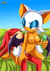 knuckles the echidna from sega by bbmbbf