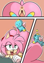 amy rose from sega by xenrevv