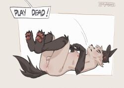 anthro balls biped canid canine canis claws domestic_dog english_text eyebrows floppy_ears fur genitals hemuchang hi_res male mammal pawpads perineum playing_dead shin_(hemuchang) solo tail text