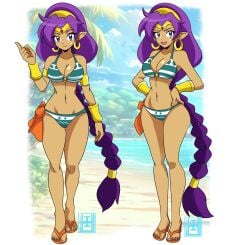 breasts female female_only inchhighjedi purple_hair shantae shantae_(character) solo tagme