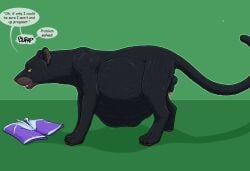 4_toes amber_eyes animal_genitalia anthro balls black_balls black_sheath bottomwear brown_nose brown_pawpads clothing english_text feet felid genitals green_background hi_res male mammal pantherine pawpads penis pink_penis shaded sharp_teeth sheath shorts simple_background strega tail teeth text toes vore whiskers