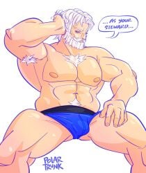 armpit_hair bara beard bulge chest_hair closed_eyes facial_hair fire_emblem fire_emblem_engage male male_only muscles muscular nintendo polartrunk sitting solo solo_male speech_bubble spread_legs underwear underwear_only vander_(fire_emblem) white_hair