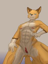 3:4 abs absurd_res andromorph anthro arrier_jewolf blue_eyes bodily_fluids canid canine clitoris countershade_torso countershading crouching cuntboy digital_media_(artwork) dipstick_tail fox full-length_portrait genital_fluids genitals gloves_(marking) grey_background hi_res intersex looking_at_viewer mammal markings muscular nude orange_body portrait pussy simple_background solo spread_legs spreading tail tail_markings