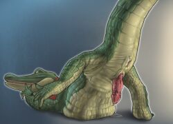 anatomically_correct anatomically_correct_genitalia anatomically_correct_penis animal_genitalia animal_penis anthro anus bloated bodily_fluids crocodile crocodilian crocodilian_penis crocodylid genital_fluids genitals hi_res looking_at_viewer lyle_(lyle_lyle_crocodile) lyle_lyle_crocodile male open_mouth open_smile penis precum presenting presenting_anus presenting_hindquarters presenting_penis rear_view reptile resting_on_belly scalie smile solo vore ward0r