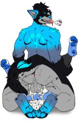 absurd_res anal anthro anus backsack balls blue_body blue_fur bodily_fluids canid cum cum_inside duo from_front_position fur genital_fluids genitals hi_res lagomorph leporid looking_at_viewer lying male male/male male_penetrated male_penetrating male_penetrating_male mammal missionary_position nude on_back penetration rabbit rear_view reduxpionnwolf sex simple_background