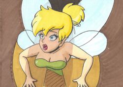 blonde blonde_female blonde_hair blue_eyes brownpidgeon cock_shadow fairy female green_dress hair_bun kabeshiri penis_shadow peter_pan_(disney) scared_expression shadow shocked shocked_expression size_difference stuck stuck_in_keyhole tinker_bell