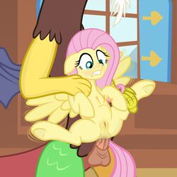 20pixels anal anal_sex balls brown_fur clenched_teeth clitoris discord_(mlp) draconequus duo equine faceless_male female fluttershy_(mlp) friendship_is_magic fur hair horse looking_down male mammal my_little_pony pegasus penetration penis pink_hair pony pussy scalie sex size_difference spread_legs spreading stomach_bulge straight straight_hair teeth wings yellow_fur