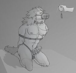 black_and_white chastity_cage dog_muzzle furry furry_male hound_dog hound_dog_(my_hero_academia) kneeling kneeling_on_ground leash leash_and_collar leashed_male monochrome muzzle_gag muzzled ryo_inui solo_male