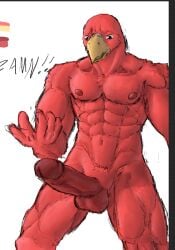 abs anthro avian balls beak bird erection genitals hi_res humanoid humanoid_genitalia humanoid_penis looking_down male muscular muscular_anthro muscular_male pecs penis red_body shybird solo standing tight_balls yellow_beak