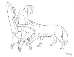 2023 anthro anthro_on_feral arctic_fox biped black_nose canid canine canis chair claws dated duo eyebrows fellatio fellatio_from_feral female feral fox fur furniture gaming_chair hair hi_res implied_oral independence looking_down male male/female male_on_feral mammal nude on_chair open_mouth oral paper-wings paws penile quadruped sex simple_background sitting sitting_on_chair toe_claws white_background wolf zoophilia