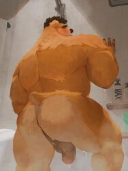 anthro ass bear freddyv7205172 male mammal solo