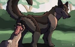 animal_genitalia animal_penis animated anthro anthro_on_feral ass balls bodily_fluids canid canine canine_genitalia canine_penis canis claws cum detailed_background domestic_dog duo ejaculation erection feral fur genital_fluids genitals german_shepherd grass herding_dog knot male mammal nature nature_background open_mouth orgasm outside pastoral_dog penis plant smile tail tree werewolfdegenerate zoophilia