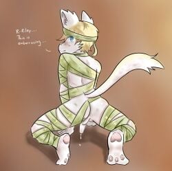 argyle_(riderrr) cat_ears cat_tail catboy cum cumdrip cute embarrassed furry furry_only gay riderrr shy small_penis tears twink white_fur