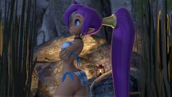 1girls female female_only female_protagonist legoguy9875 shantae shantae_(character) solo