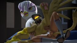 3d 3d_(artwork) avian balls beak cum cum_in_pussy feathered_wings feathers female feral friendship_is_magic fur gilda_(mlp) gryphon hasbro human human_on_feral interspecies male mammal my_little_pony pawpads paws penis pussy source_filmmaker tail tongue tongue_out wings xvsslvsh yellow_eyes zoophilia