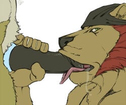 2011 anthro canine fur furry gay green_eyes male oral penis saliva silver_fenrir tongue