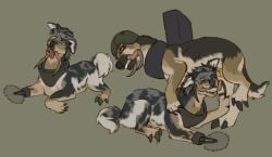 alien animal_genitalia canid canine canis cybernetics duo ear_penetration erection facial_piercing feral forced fur genitals hair hi_res iq_loss labret_piercing lip_piercing machine male male/male male_penetrated male_penetrating mammal mandibles mindfuck open_mouth penetration penile penis piercing puppyratcat rape sex simple_background tail tongue tongue_out tongue_piercing vortihound